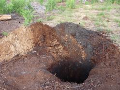 Profil cultural du sol