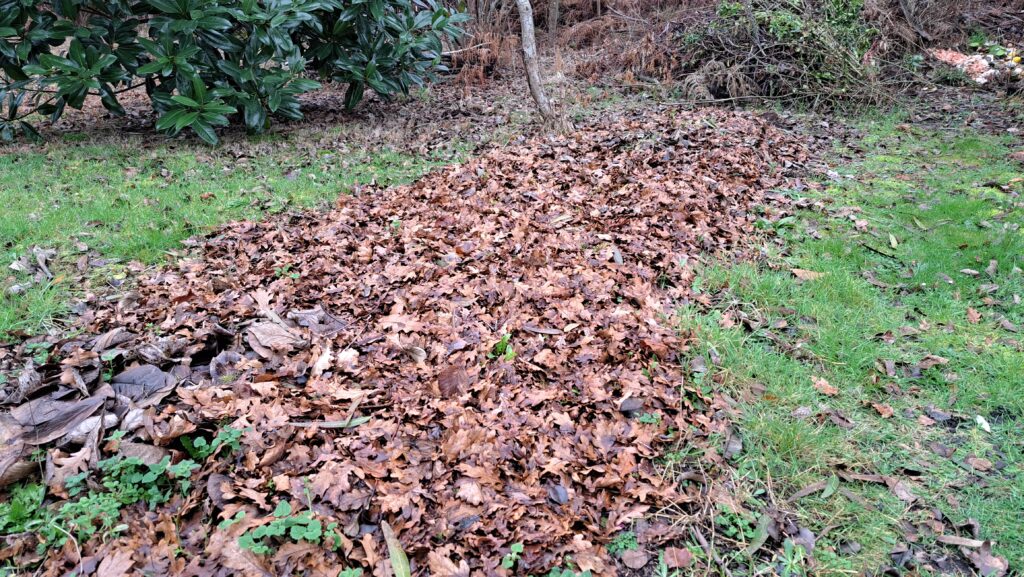Janvier au jardin : quand la terre se repose