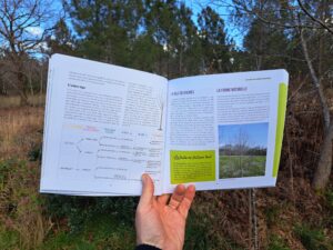 J'apprends à tailler mes arbres