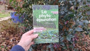 phytoépuration